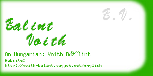 balint voith business card